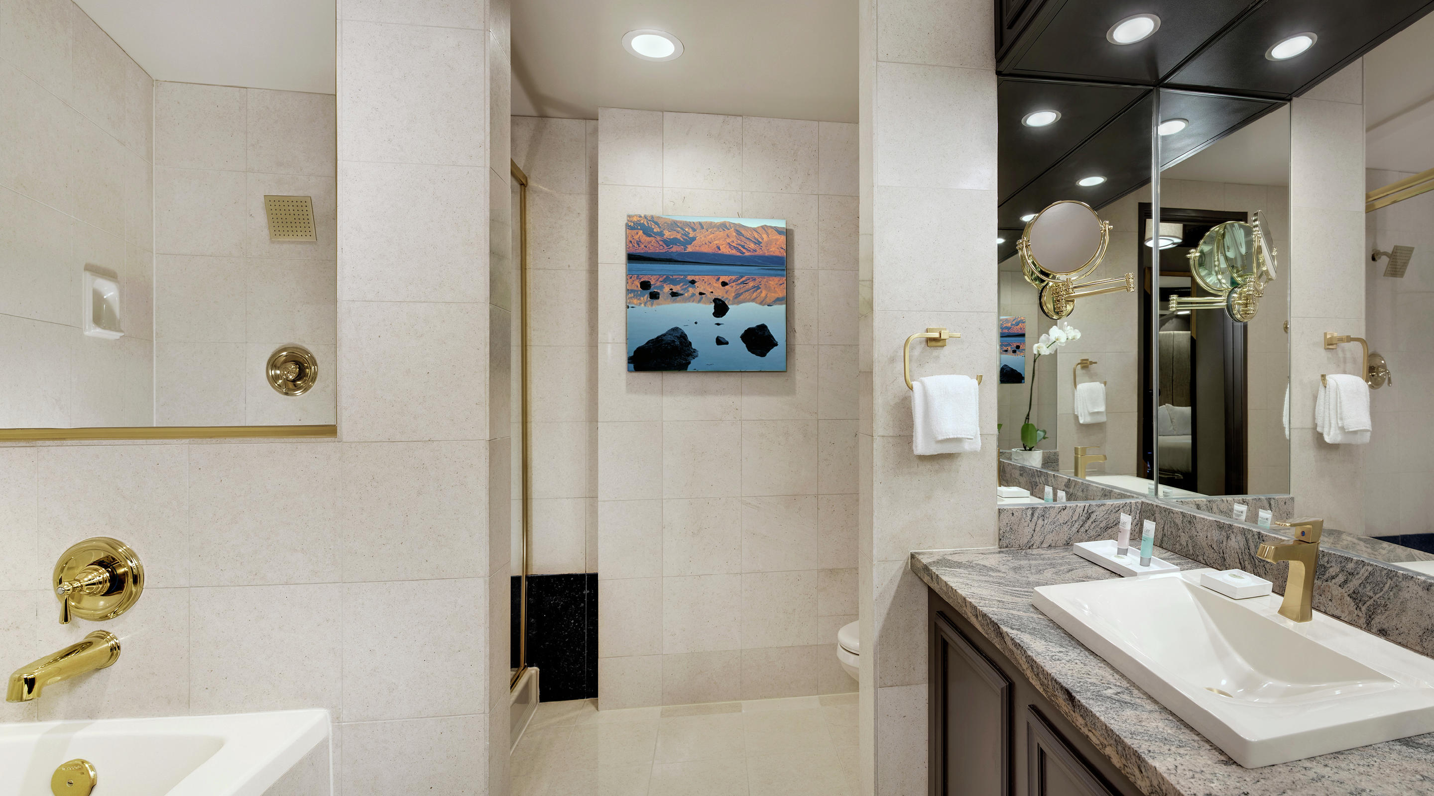 Image of the Tower Premium Bathroom.